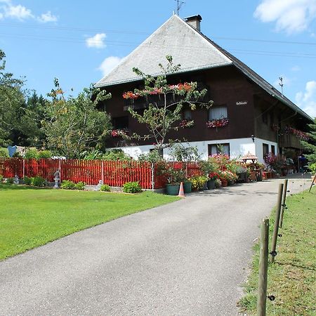 Ferienwohnung Schwarzwaldhof Titisee-Neustadt Exteriér fotografie