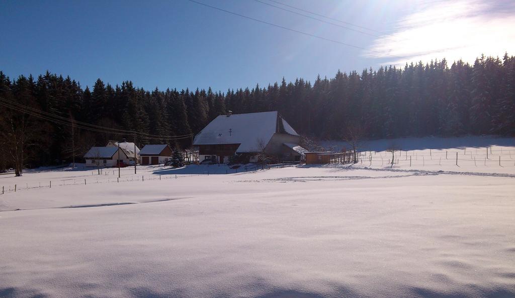 Ferienwohnung Schwarzwaldhof Titisee-Neustadt Exteriér fotografie