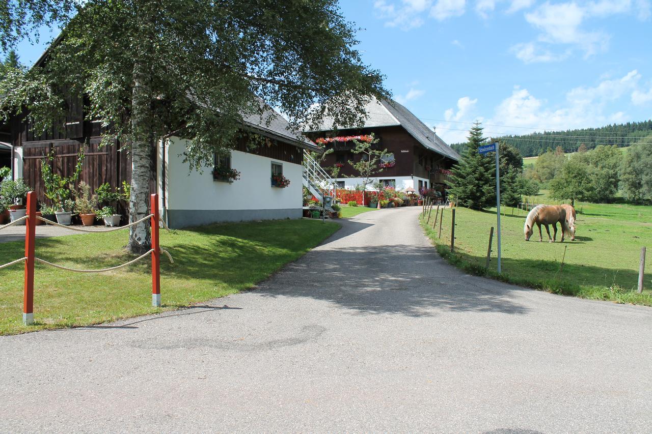 Ferienwohnung Schwarzwaldhof Titisee-Neustadt Exteriér fotografie